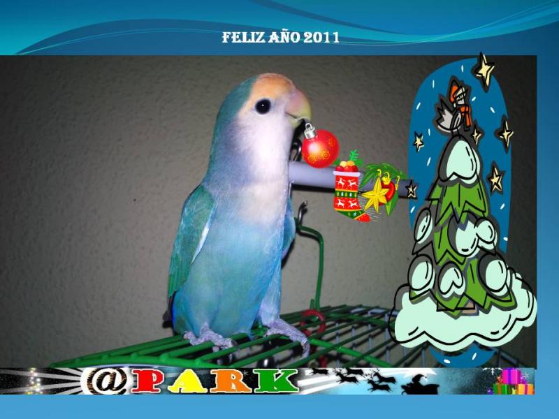 concurso arrobapark.jpg concurso arrobapark.jpg